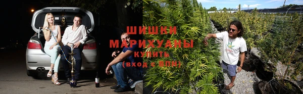 ALPHA PVP Михайлов