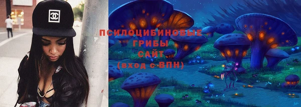спиды Чита